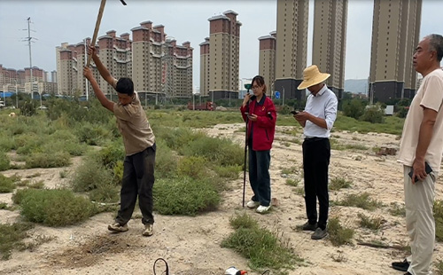 麻豆啪啪啪网站中的挑战与对策：确保地质数据的准确性与全面性